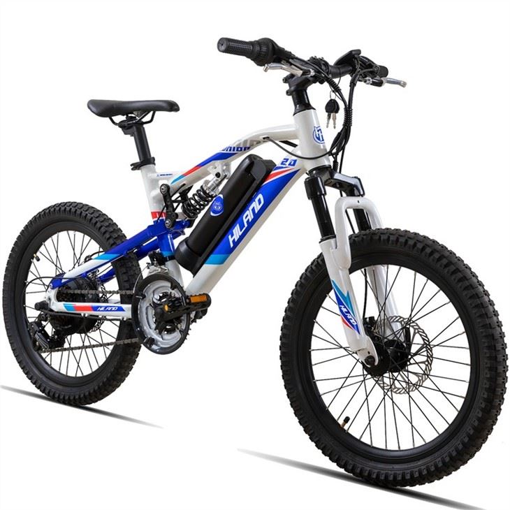 Electric Mountain Bike Pricelist