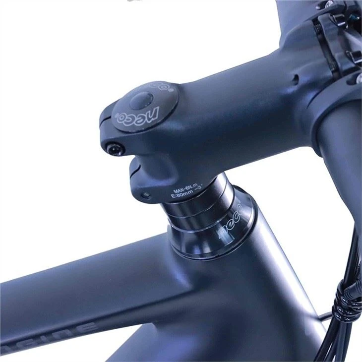 Customized Electric Road Bike