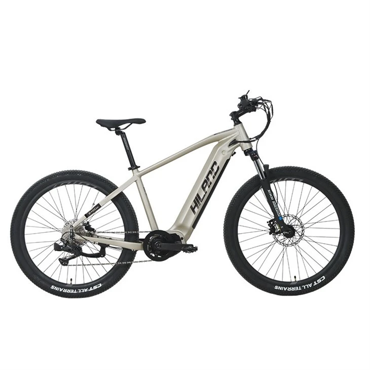 48v 500w Central Motor 10 Speed Mtb E Bike