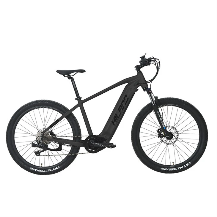 48V 500W centrální motor 10rychlostní Mtb E kolo