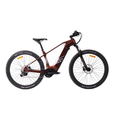 29x2,35'' horské elektrokolo pro muže