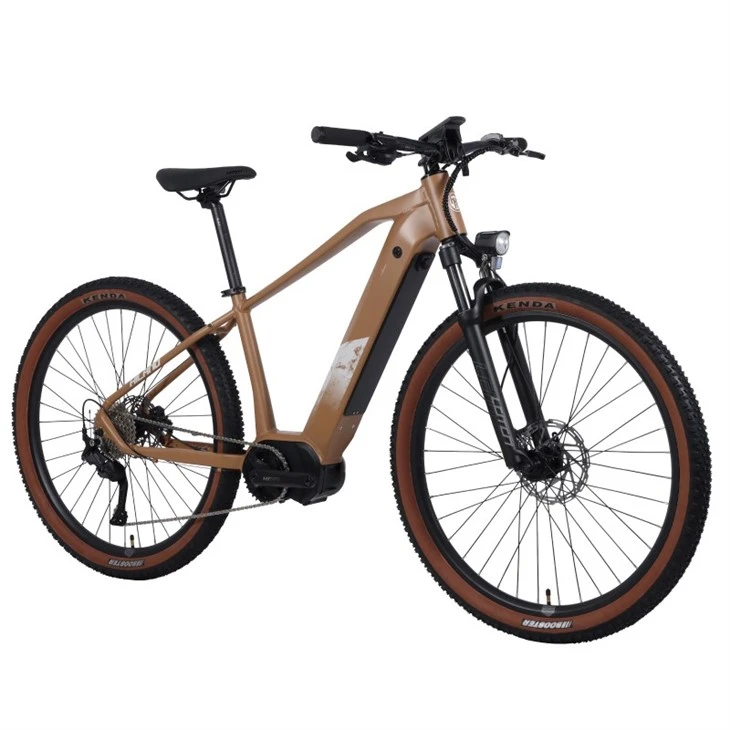 JOYKIE Aluminum Alloy 29 Inch 36v 540wh Fat Tire Hydraulic Disc Brake 9 Speed E-BIKE Central Motor Electric Mountain Bike
